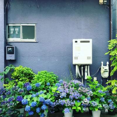 Необычные наружные стены японских домов. Фото