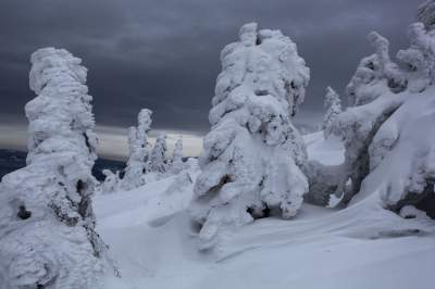 Фотограф показал, как выглядит зима в польских горах. Фото