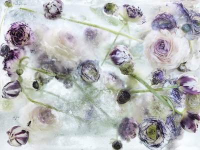 Замороженные цветы в ярком фотопроекте. Фото