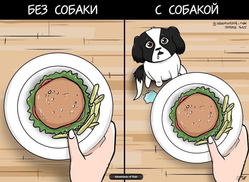 17 комиксов о жизни собачки Руби