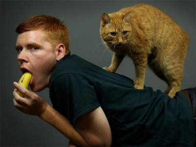 Новый флешмоб: мужчины делают смешные фотки со своими котами