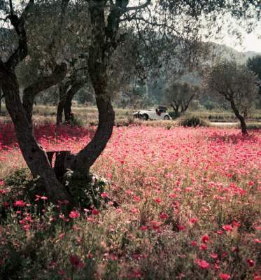 Цветные ретро-снимки известного французского фотографа. Фото