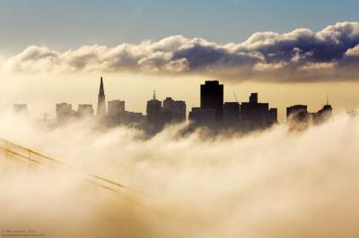 Завораживающие панорамы туманного Сан-Франциско. Фото