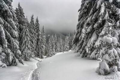 Зимние Карпаты в волшебных пейзажах. Фото
