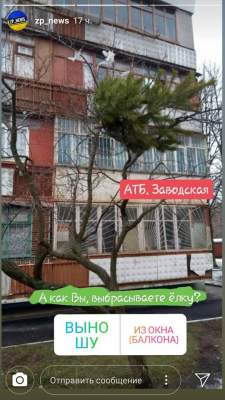 В Запорожье попытка выбросить елку с балкона закончилась неожиданно 
