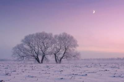 Красивые зимние рассветы в объективе белорусского фотографа. Фото