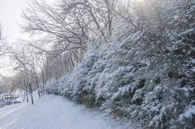 Снежная Одесса в необычных снимках. Фото