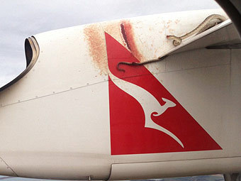 Австралийский самолет принес на крыле питона