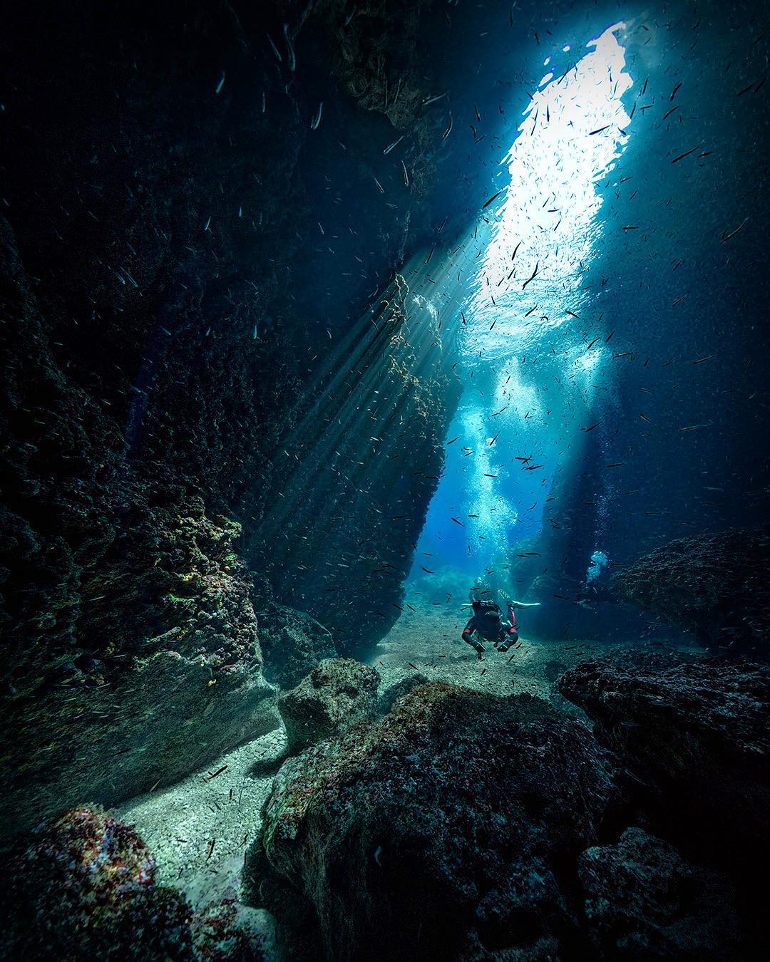 Удивительные подводные снимки от Алекса Доусона