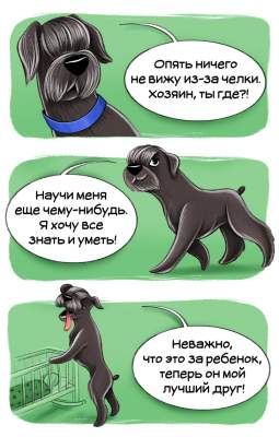 Особенности разных пород собак в прикольных комиксах