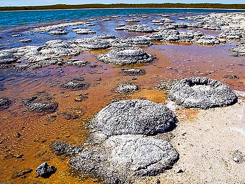 В Австралии обнаружены следы древнейшей жизни планеты