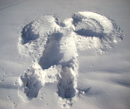 В России полиция и медики помешали двум бабушкам весело резвиться в снегу
