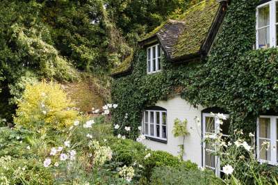 Впечатляющее преображение британского загородного дома. Фото 