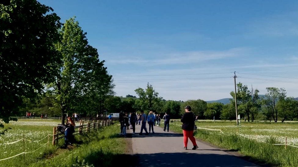 Зацвела знаменитая Долина нарциссов: яркие кадры. ФОТО Зацвела знаменитая Долина нарциссов: яркие кадры. ФОТО