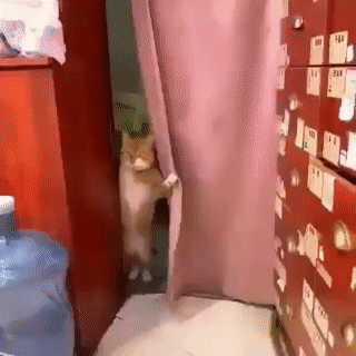 18 человек, чьи подписи к фото остроумнее оригинальных