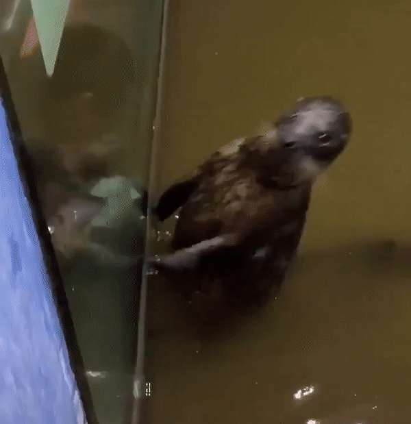 18 человек, чьи подписи к фото остроумнее оригинальных