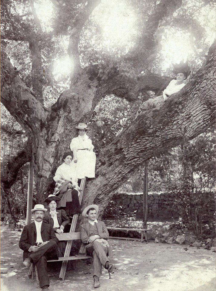 Чем занимались на дачах в конце ХІХ века. ФОТО Чем занимались на дачах в конце ХІХ века. ФОТО