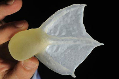 Селезню-инвалиду напечатали лапу на 3D-принтере