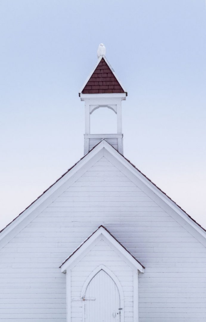 Показали фото птиц, которые очаровывают красотой. ФОТО Показали фото птиц, которые очаровывают красотой. ФОТО