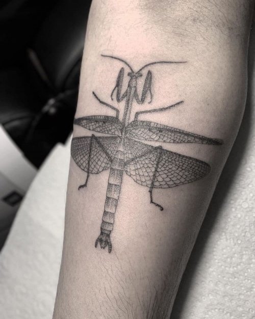 Татуировки от этой художницы похожи на произведения искусства. ФОТО