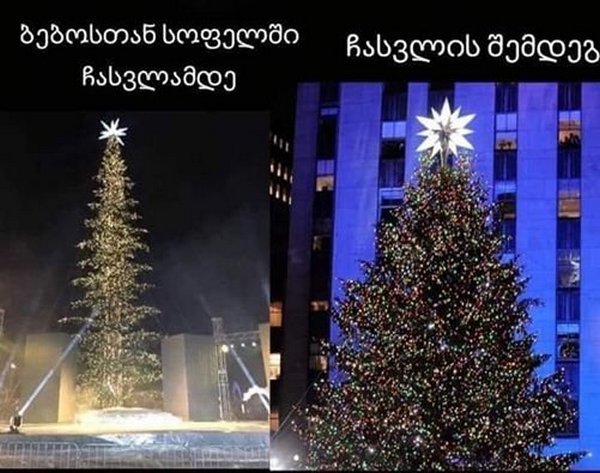 «Лысую» новогоднюю елку в Тбилиси высмеяли фотожабами