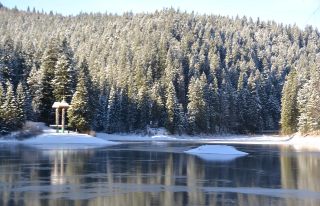 Заснеженная красота: появились зимние кадры одного из крупнейших озер Украины