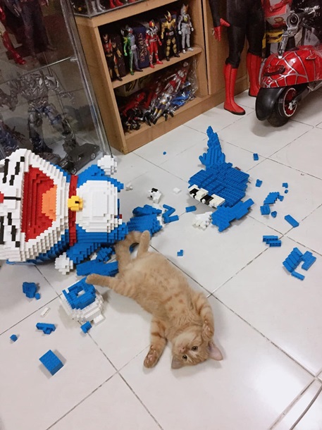 Наглый кот сломал фигуру, которую хозяин собирал из 2432 деталей