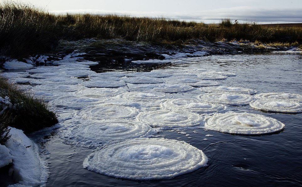 Ледяные блины на реке в Шотландском нагорье