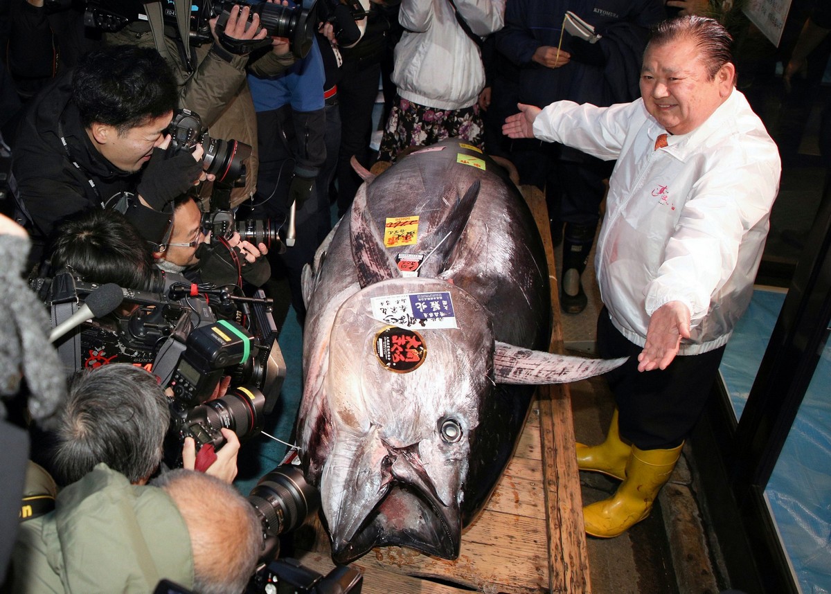 В Японии на аукционе продали тунца весом 276 килограммов