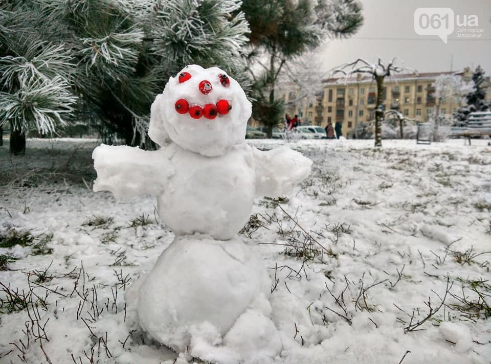 Волшебная аномалия: запорожцы делятся в сети фото с первым снегом в этом году. ФОТО