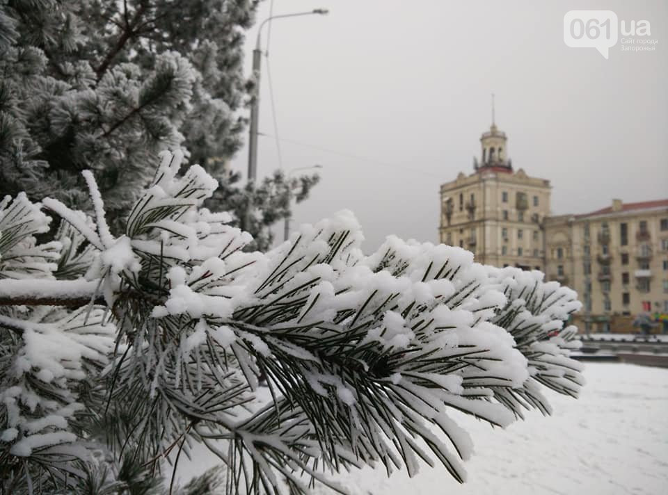Волшебная аномалия: запорожцы делятся в сети фото с первым снегом в этом году. ФОТО