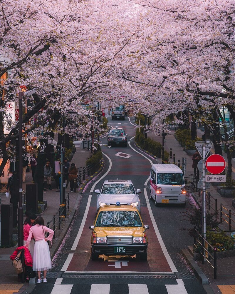 Потрясающие городские пейзажи Японии. ФОТО