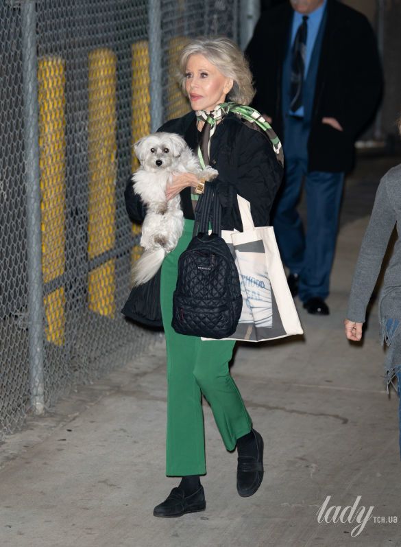 В зеленых брюках и с собакой на руках: 82-летняя Джейн Фонда замечена на улицах Лос-Анджелеса. ФОТО
