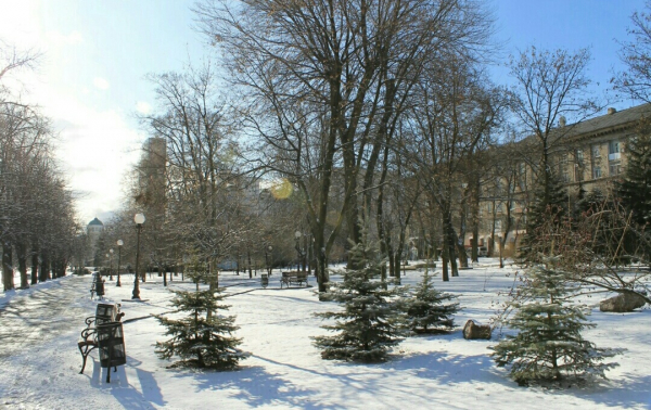 В сети показали фото оккупированного Донецка в снегу. ФОТО