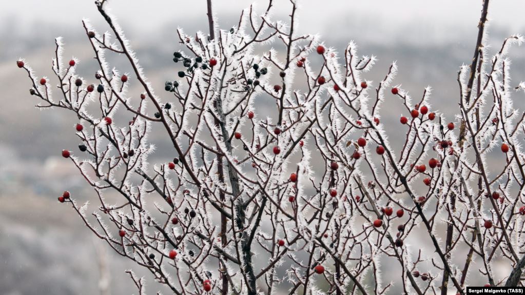 В январе ночная температура в Клиновке практически всегда ниже нуля, поэтому рано утром сельские поля окутывает иней и морозный туман
