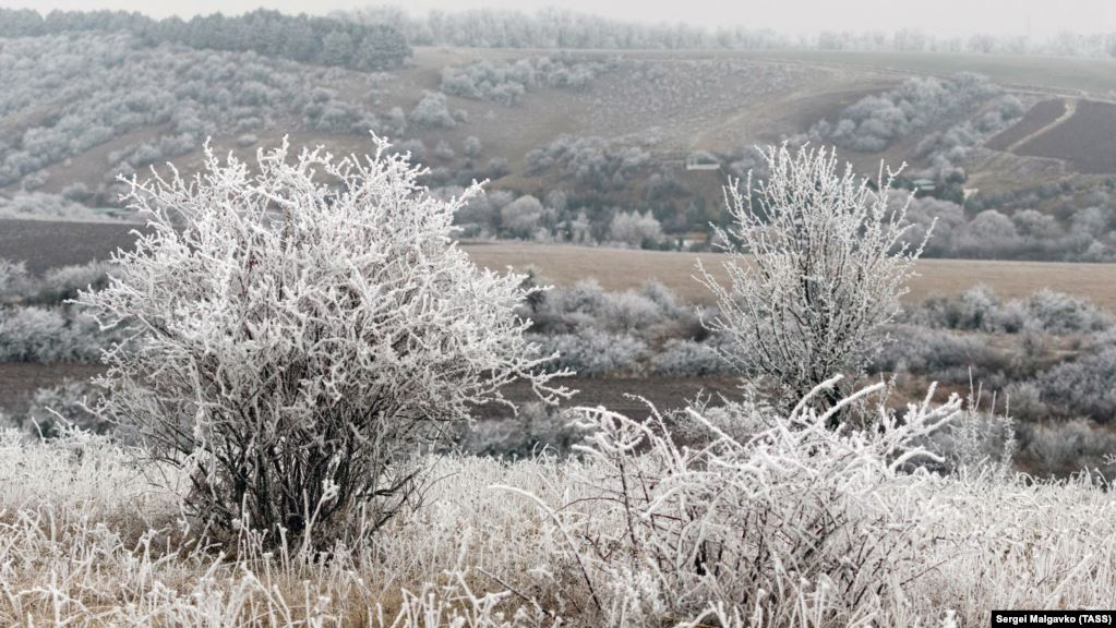 Как выглядит зимняя Клиновка под слоем инея и в густом тумане смотрите в фоторепортаже