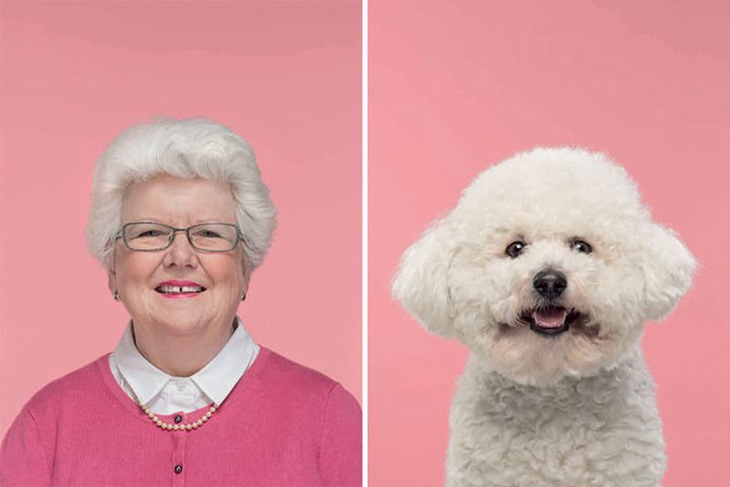 Британский фотограф показал, как собаки похожи на своих хозяев. ФОТО