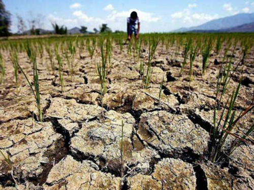 Калифорния переживает рекордную засуху, введен режим ЧС 