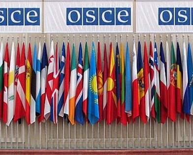 В ОБСЕ обсудят ситуацию в Украине В ОБСЕ обсудят ситуацию в Украине
