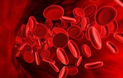 Продолжительность жизни можно установить по анализу крови