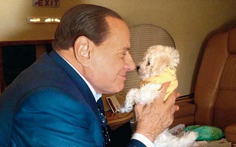 Сильвио Берлускони на старости лет полюбил животных