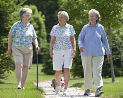Пешие прогулки полезны для людей с болезнями почек