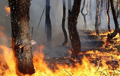 Гидрометцентр предупредил о высокой пожароопасности в Украине