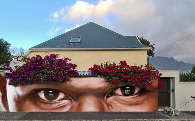 Уличный художник из ЮАР оживляет улицы города при помощи граффити - фоторепортаж