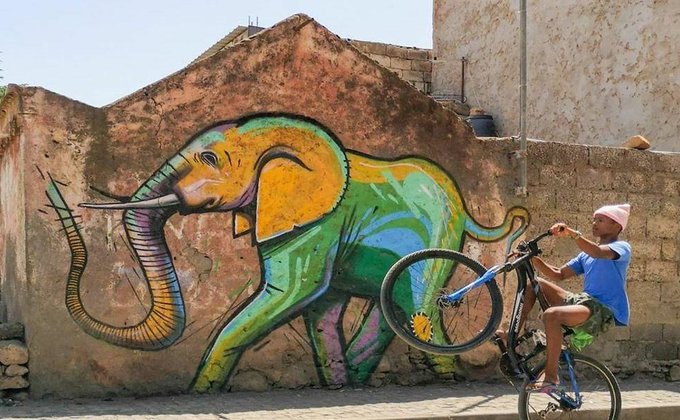 Уличный художник из ЮАР оживляет улицы города при помощи граффити - фоторепортаж