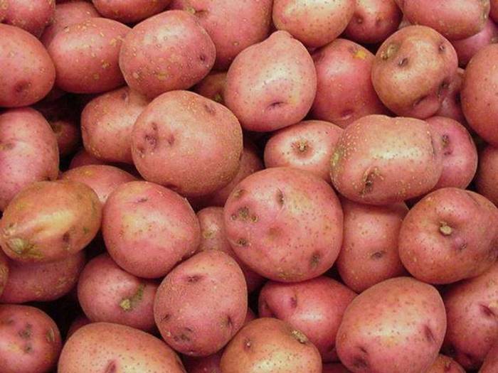 Беларусь отменила ограничение на ввоз картофеля из Украины