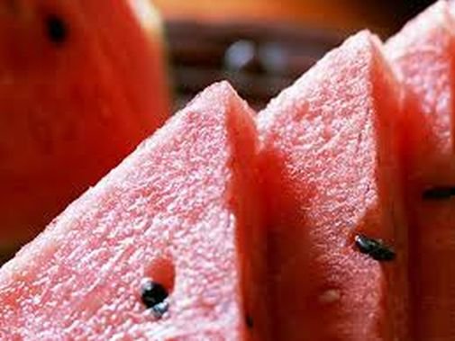 Медики выбрали идеальный продукт для похудения Медики выбрали идеальный продукт для похудения