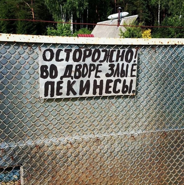Забавные таблички от хозяев с прекрасным чувством юмора. ФОТО Забавные таблички от хозяев с прекрасным чувством юмора. ФОТО