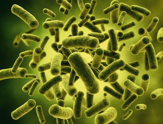 Основным источником опасных бактерий является сам человек