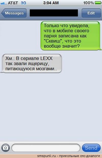 \"Как жизнь? Мухам бы понравилась...\". - прикольная СМС-переписка